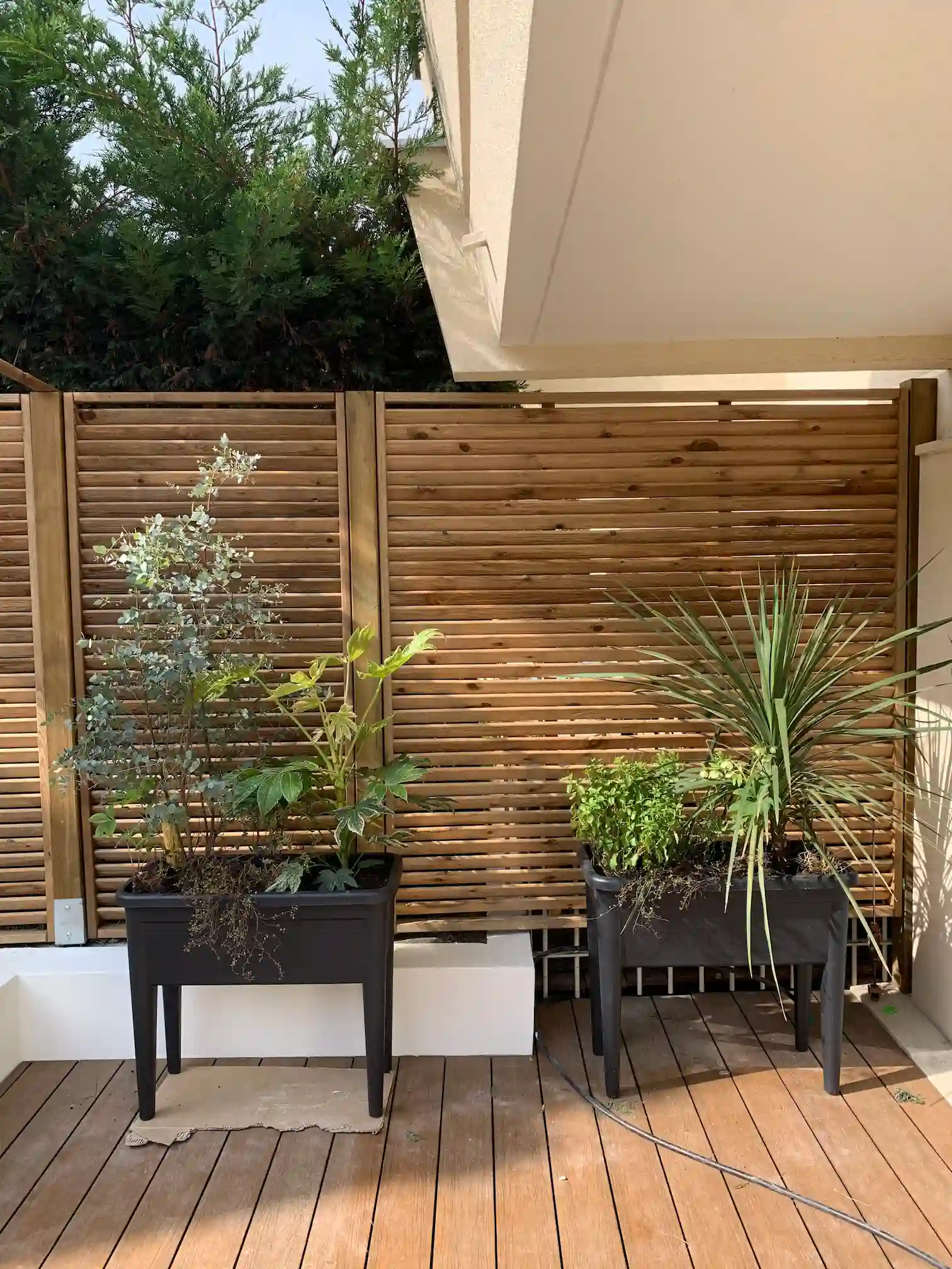 Restructuration paysagère dans un jardin à Puteaux - image 2