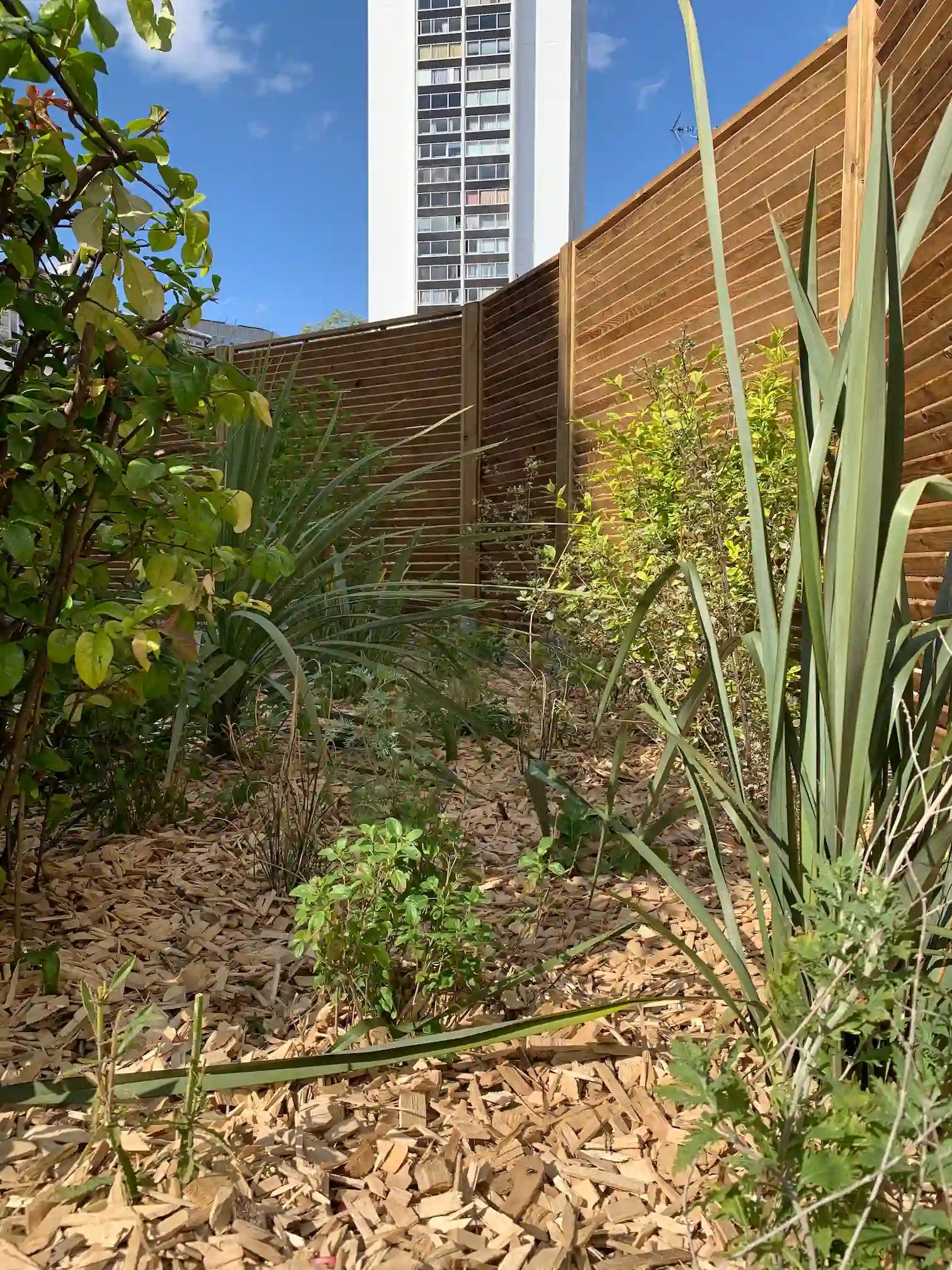 Restructuration paysagère dans un jardin à Puteaux - image 5