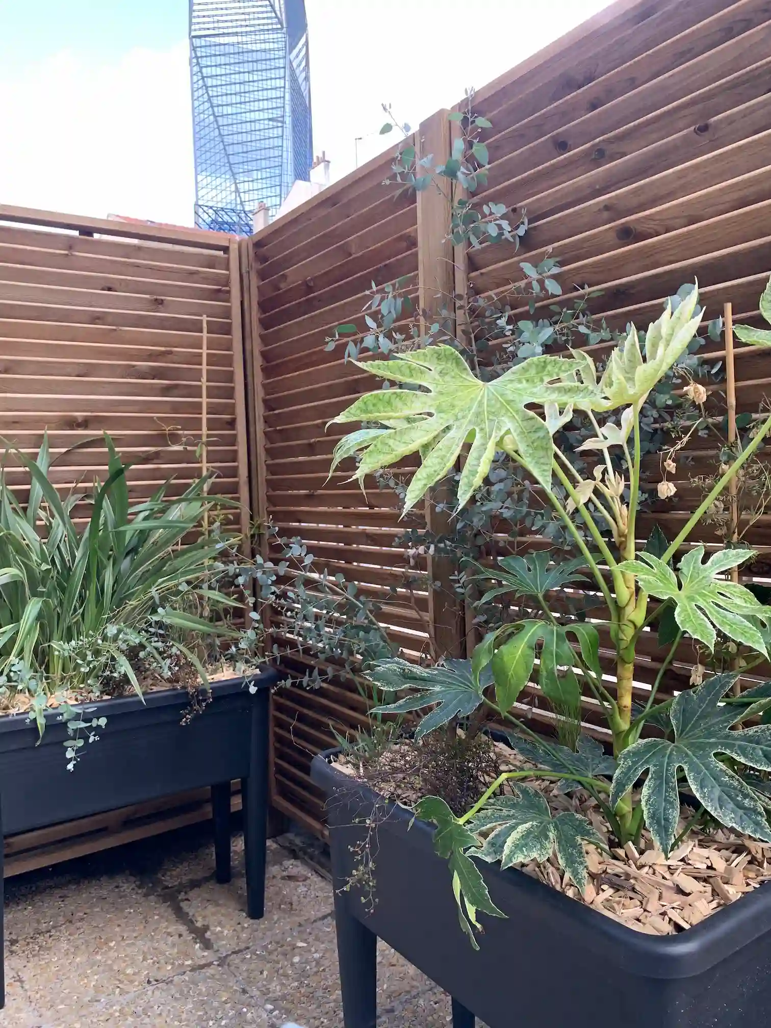 Restructuration paysagère dans un jardin à Puteaux - image 7