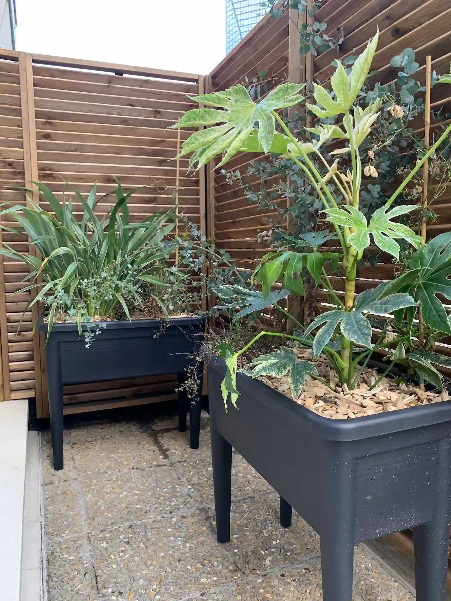 Restructuration paysagère dans un jardin à Puteaux - image 8